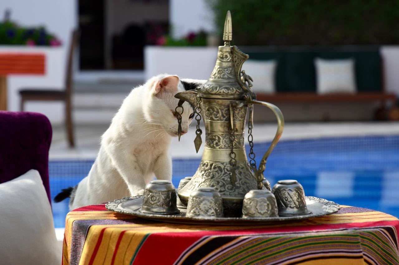 Behlys Boutique Hotel Muscat Ngoại thất bức ảnh